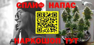 ПСИЛОЦИБИНОВЫЕ ГРИБЫ Кандалакша