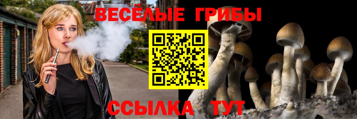 Кемерово  купить наркоту  Вход с VPN  Псилоцибиновые грибы мицелий 